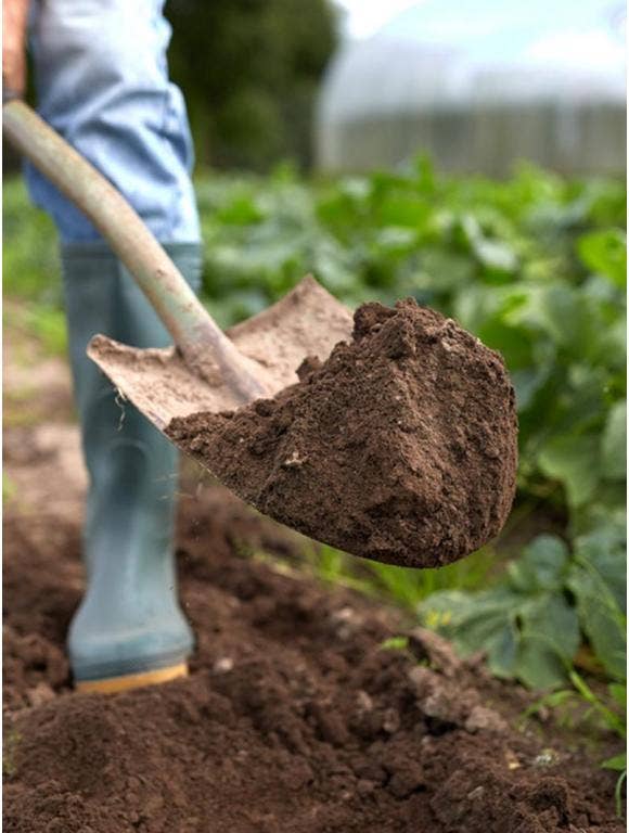 How to Refresh Garden Soil