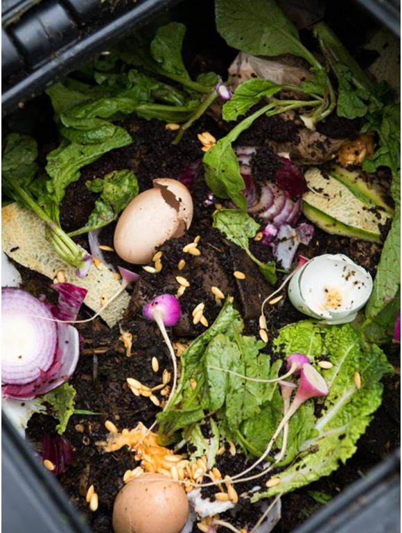 A compost bin with food scraps and eggshells.